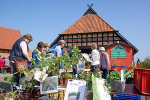Pflanzenflohmarkt vor Kochs Hof